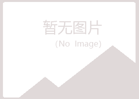 江门新会紫山采矿有限公司